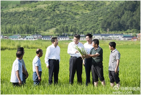 海利集团,长沙杀虫剂,长沙光气衍生物,长沙氨基酸保护剂,长沙锂离子电池材料