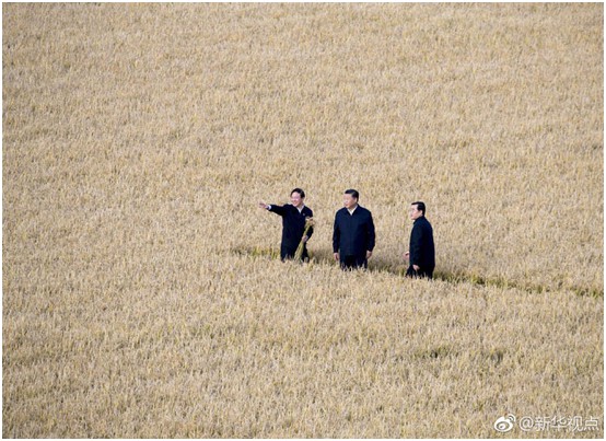 海利集团,长沙杀虫剂,长沙光气衍生物,长沙氨基酸保护剂,长沙锂离子电池材料